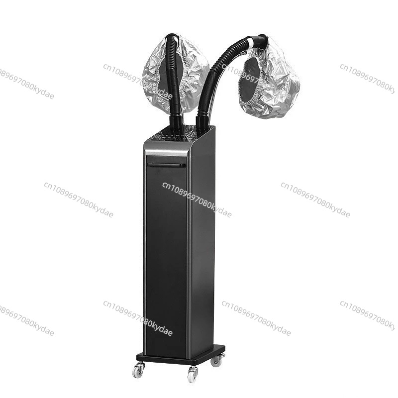 Salon Nano Ozone Steamer Spray - Hair Care In Salon のレビューと価格