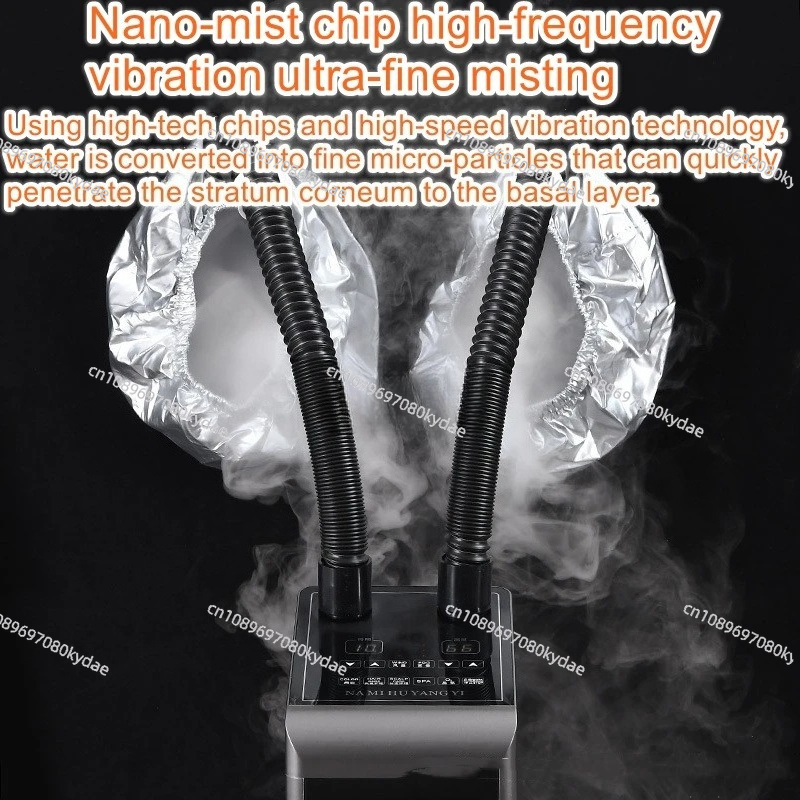 Salon Nano Ozone Steamer Spray - Hair Care In Salon のレビューと価格