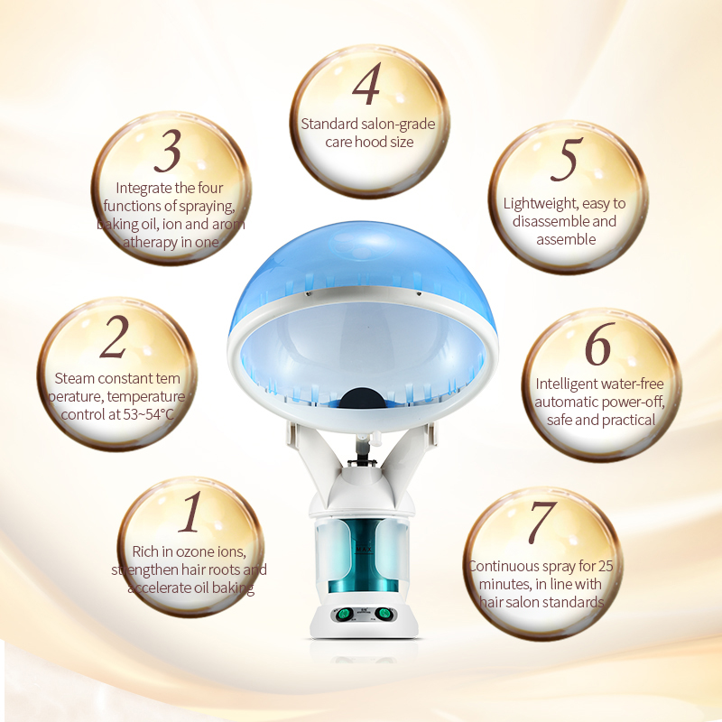 KSKIN Steamer Hair Treatment M - Hair Care In Salon のレビューと価格