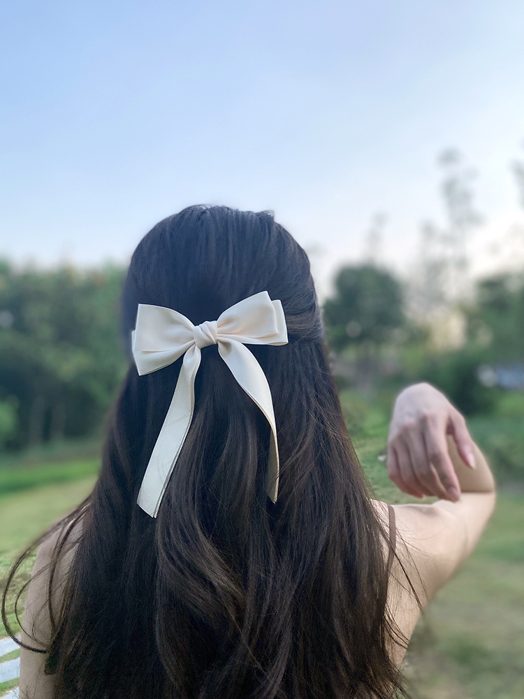 Korea Elegant Long Ribbon Bow  - Bobby Pin Bulk のレビューと価格