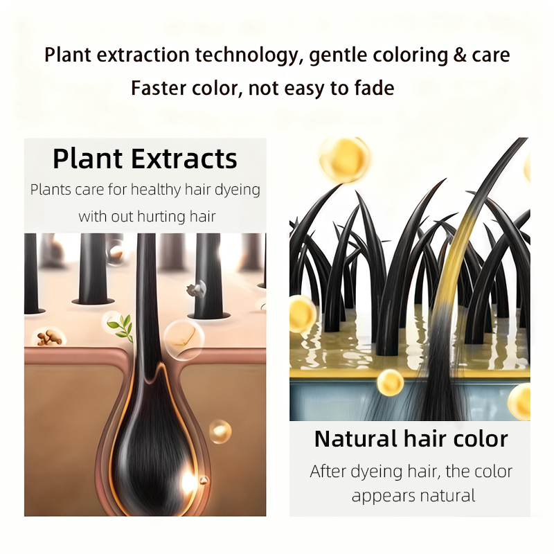 Obsidian Black Hair Dye Shampo - Hair Care Collagen のレビューと価格